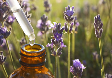natural lavender oil