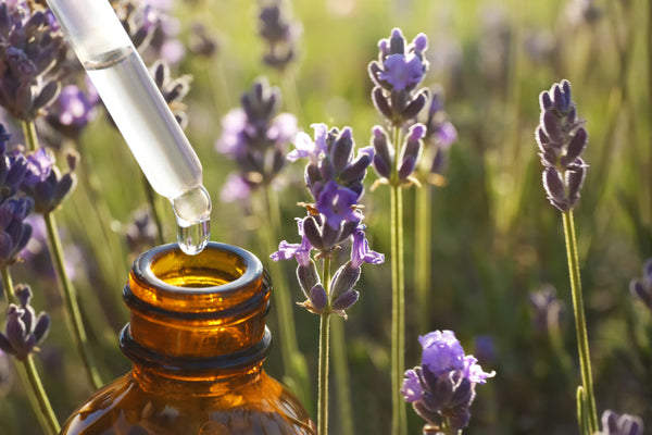 natural lavender oil